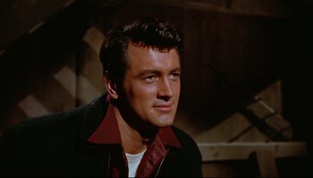 Movie still from “All That Heaven Allows” (1955), directed by Douglas Sirk – A person wearing a jacket; Close Up shot, Over the shoulder angle