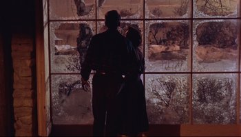 Movie still from “All That Heaven Allows” (1955), directed by Douglas Sirk – A man and a woman standing in front of a window; Medium shot, Low angle