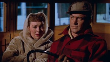 Movie still from “All That Heaven Allows” (1955), directed by Douglas Sirk – A man and a woman are sitting next to each other; Medium shot, Over the shoulder angle