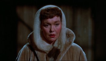 Movie still from “All That Heaven Allows” (1955), directed by Douglas Sirk – A person wearing a fur coat; Close Up shot, High angle