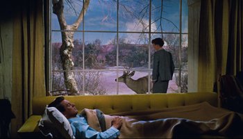 Movie still from “All That Heaven Allows” (1955), directed by Douglas Sirk – A man laying on a yellow couch next to a deer; Wide shot, High angle