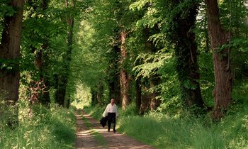 Movie still from “Tous les matins du monde” (1991), directed by Alain Corneau – A man walking down a dirt road in a wooded area; Extreme Wide shot, Low angle