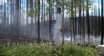 Movie still from “Always” (1989), directed by Steven Spielberg – A man standing in the middle of a field of flowers; Wide shot, Low angle