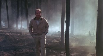 Movie still from “Always” (1989), directed by Steven Spielberg – A man standing in the middle of a forest; Wide shot, Low angle