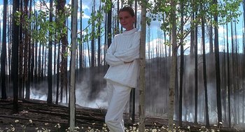 Movie still from “Always” (1989), directed by Steven Spielberg – A woman standing in front of a tree in the woods; Medium shot, Low angle