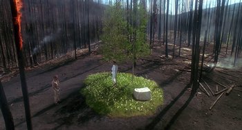 Movie still from “Always” (1989), directed by Steven Spielberg – A person standing next to a tree in the middle of a forest; Extreme Wide shot, High angle