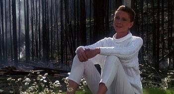 Movie still from “Always” (1989), directed by Steven Spielberg – A woman sitting on the ground in a field of flowers; Medium shot, Low angle