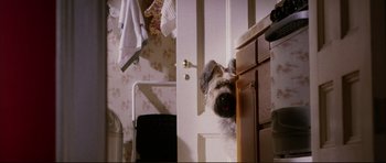 Movie still from “American Wedding” (2003), directed by Jesse Dylan – A dog standing on the door of a bathroom; Medium shot, Low angle