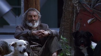 Movie still from “Amores Perros” (2000), directed by Alejandro G. Iñárritu – An old man sitting next to a tree with a dog; Medium shot, Low angle