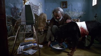 Movie still from “Amores Perros” (2000), directed by Alejandro G. Iñárritu – An older man sitting on the floor with a bowl of cereal and two dogs; Wide shot, High angle