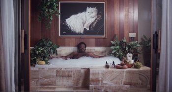 Movie still from “An Evening with Beverly Luff Linn” (2018), directed by Jim Hosking – A man laying in a bathtub with a cat on the wall; Wide shot, High angle