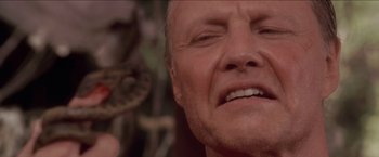 Movie still from “Anaconda” (1997), directed by Luis Llosa – A man's face with a lizard in the background; Extreme Close Up shot, Low angle