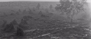 Movie still from “Andrei Rublev” (1966), directed by Andrei Tarkovsky – A black - and - white photo of some rocks in a field; Extreme Wide shot, High angle