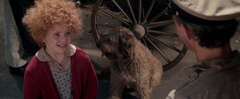 Movie still from “Annie” (1982), directed by John Huston – A dog sitting on the ground next to a person; Close Up shot, High angle