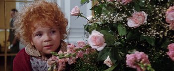 Movie still from “Annie” (1982), directed by John Huston – A woman with curly red hair looking at a bouquet of pink flowers; Close Up shot, High angle