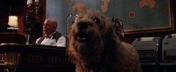 Movie still from “Annie” (1982), directed by John Huston – A brown dog sitting on top of a wooden table; Close Up shot, Over the shoulder angle