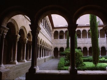 A courtyard with a lot of trees in it