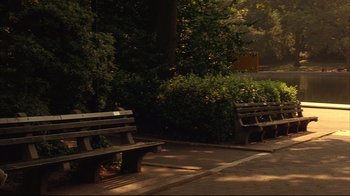 Movie still from “Anything Else” (2003), directed by Woody Allen – Two park benches sitting next to each other on the side of the road; Wide shot, High angle