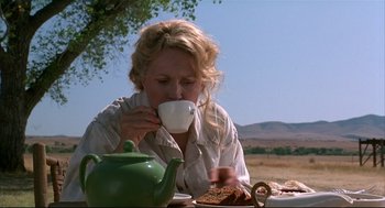 Movie still from “Arizona Dream” (1993), directed by Emir Kusturica – A woman sitting at a picnic table drinking tea; Medium shot, Over the shoulder angle