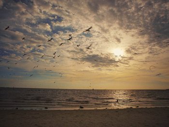 Movie still from “Some Kind of Heaven” (2020), directed by Lance Oppenheim – Extreme Wide shot, Low angle