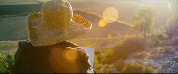 Movie still from “At Eternity's Gate” (2018), directed by Julian Schnabel – A person wearing a straw hat looking out over a valley; Extreme Close Up shot, Low angle