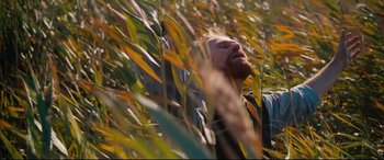 Movie still from “At Eternity's Gate” (2018), directed by Julian Schnabel – A man with a beard is standing in a field of tall grass; Medium shot, Low angle