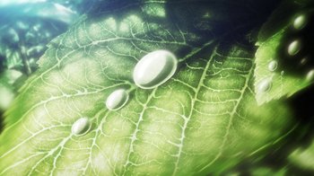 Movie still from “Attack on Titan” (2013), directed by Masashi Koizuka – View of water droplets on a green leaf; Extreme Close Up shot, Overhead angle