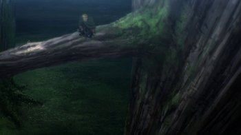 Movie still from “Attack on Titan” (2013), directed by Masashi Koizuka – A blurry image of a person sitting on top of a tree branch; Extreme Wide shot, High angle