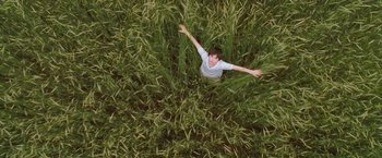 Movie still from “August Rush” (2007), directed by Kirsten Sheridan – A boy is in the middle of some tall green grass; Extreme Wide shot, Overhead angle