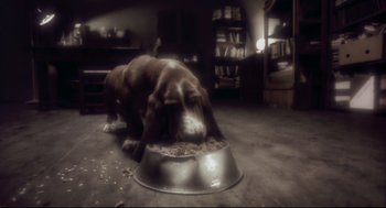 Movie still from “Avalon” (2001), directed by Mamoru Oshii – A dog eating food out of a metal bowl on the floor; Extreme Close Up shot, High angle