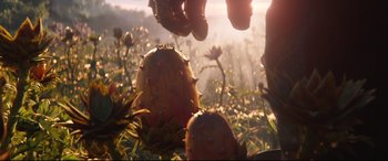 Movie still from “Avengers: Endgame” (2019), directed by Anthony Russo – A plant in a field of flowers; Extreme Close Up shot, Low angle