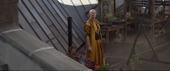 Movie still from “Avengers: Endgame” (2019), directed by Anthony Russo – A bald man in a yellow robe standing next to flowers; Medium shot, Over the shoulder angle