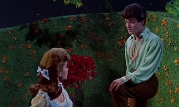 Movie still from “Babes in Toyland” (1961), directed by Jack Donohue – A man and a woman are sitting in front of a bush; Medium shot, Over the shoulder angle