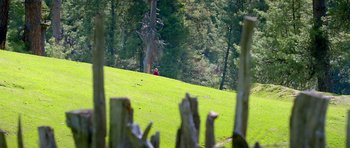 Movie still from “Bajrangi Bhaijaan” (2015), directed by Kabir Khan – A person riding a bike on top of a lush green field; Extreme Wide shot, High angle