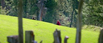 Movie still from “Bajrangi Bhaijaan” (2015), directed by Kabir Khan – Two people walking on a grassy hill near a forest; Extreme Wide shot, High angle