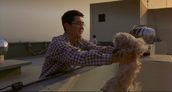 Movie still from “Barking Dogs Never Bite” (2000), directed by Bong Joon Ho – A man petting a dog on the back of a truck; Medium shot, Low angle