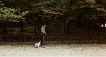 Movie still from “Barking Dogs Never Bite” (2000), directed by Bong Joon Ho – A man walking a dog in a park; Wide shot, High angle