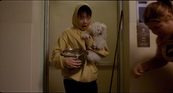 Movie still from “Barking Dogs Never Bite” (2000), directed by Bong Joon Ho – A person holding a white dog in their arms; Medium shot, Low angle