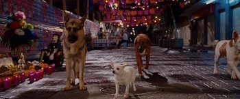 Movie still from “Beverly Hills Chihuahua” (2008), directed by Raja Gosnell – Three dogs walking down the street at night; Wide shot, High angle