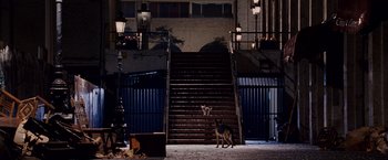 Movie still from “Beverly Hills Chihuahua” (2008), directed by Raja Gosnell – A dog standing in front of a set of stairs at night; Extreme Wide shot, High angle