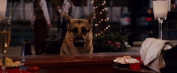 Movie still from “Beverly Hills Chihuahua” (2008), directed by Raja Gosnell – A german shepherd dog sitting at a table; Medium shot, Over the shoulder angle