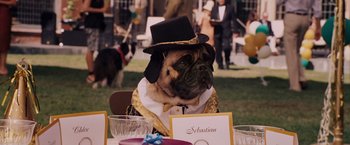 Movie still from “Beverly Hills Chihuahua” (2008), directed by Raja Gosnell – A dog wearing a hat sitting at a table; Medium shot, Over the shoulder angle