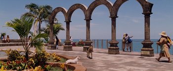 Movie still from “Beverly Hills Chihuahua” (2008), directed by Raja Gosnell – Two dogs are standing in front of an archway on the beach; Extreme Wide shot, High angle