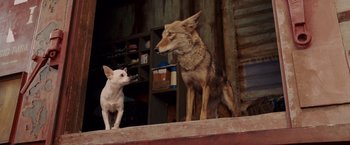 Movie still from “Beverly Hills Chihuahua” (2008), directed by Raja Gosnell – A dog standing next to another dog on a ledge; Medium shot, High angle