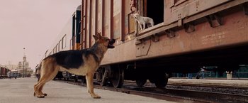 Movie still from “Beverly Hills Chihuahua” (2008), directed by Raja Gosnell – A dog standing next to a train on a train track; Wide shot, Low angle