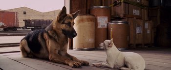 Movie still from “Beverly Hills Chihuahua” (2008), directed by Raja Gosnell – A dog and a small dog sitting next to each other on the ground; Wide shot, High angle