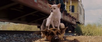 Movie still from “Beverly Hills Chihuahua” (2008), directed by Raja Gosnell – A dog laying on top of another dog on the ground near train tracks; Close Up shot, Low angle