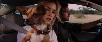 Movie still from “Beverly Hills Chihuahua” (2008), directed by Raja Gosnell – A man and a woman in a car with a dog; Close Up shot, Low angle