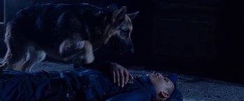 Movie still from “Beverly Hills Chihuahua” (2008), directed by Raja Gosnell – A man laying on the ground next to a german shepherd; Wide shot, High angle