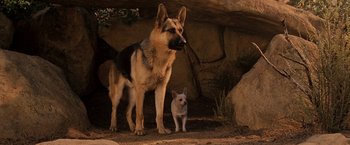 Movie still from “Beverly Hills Chihuahua” (2008), directed by Raja Gosnell – A dog standing next to a small dog in the dirt; Medium shot, Low angle